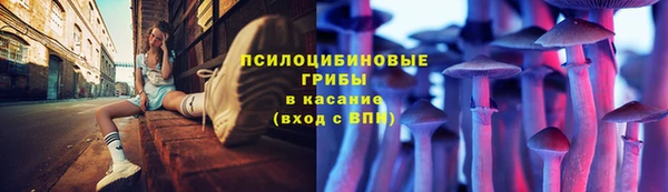 каннабис Аркадак