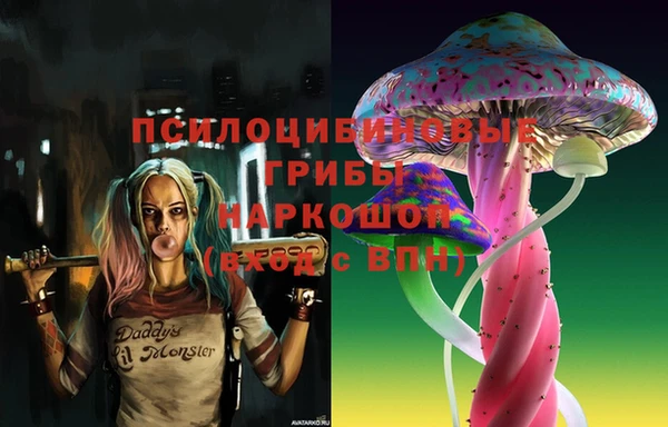 каннабис Аркадак